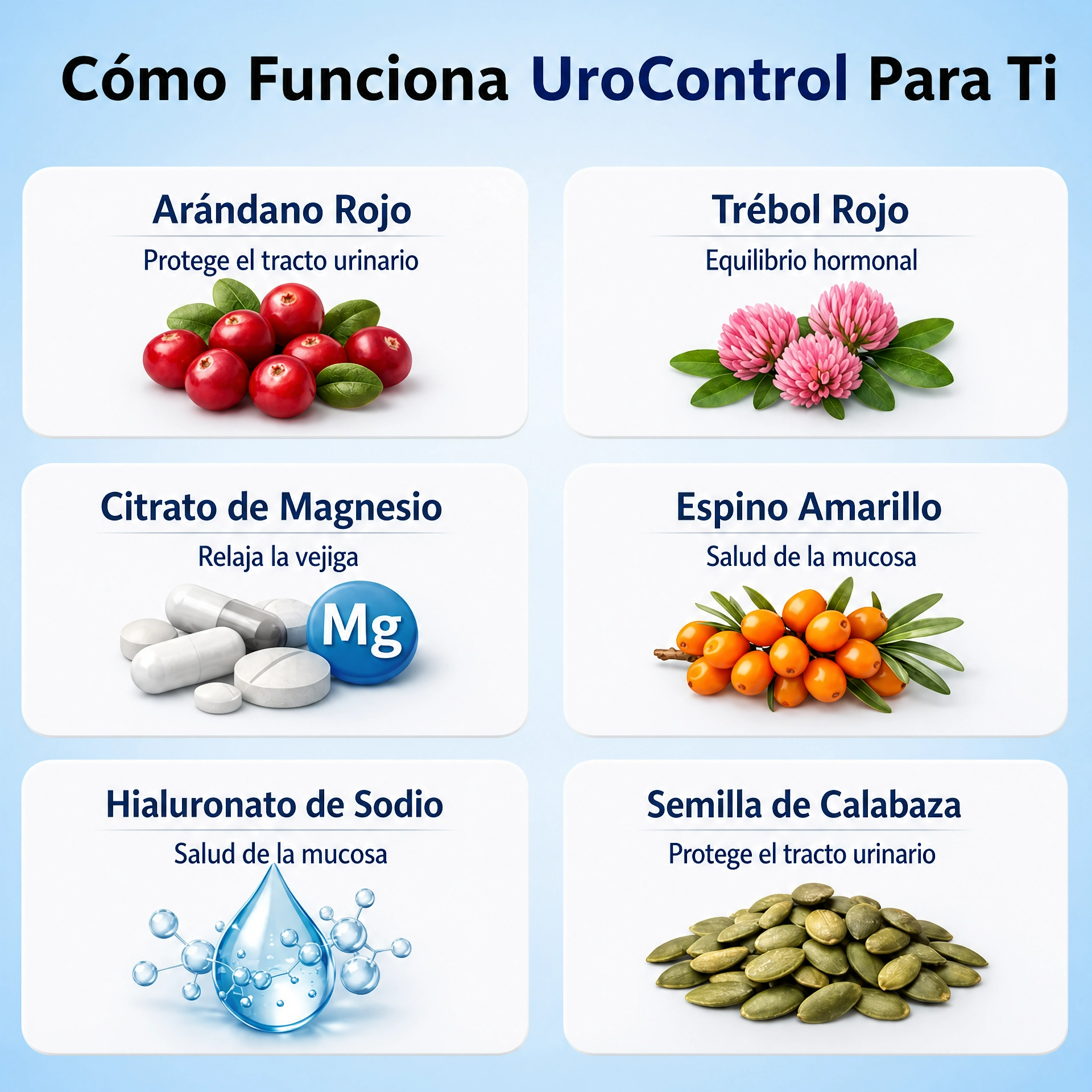 UroControl - Soporte Natural para la Vejiga